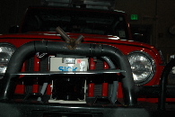DSC 3931
