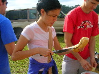 047-DSCN9242