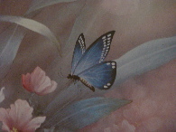 dsc00655